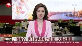 内蒙古妻子爆料新闻视频,揭露家庭暴力背后的惊人真相